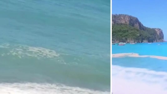 Mare sporcoLa schiumetta assedia il litorale tirrenico, nessuno in acqua e turisti arrabbiati: «Complimenti» - VIDEO