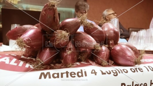 L’appuntamentoAd Amantea la coltivazione della Cipolla Rossa di Tropea eccelle grazie al lavoro regolare