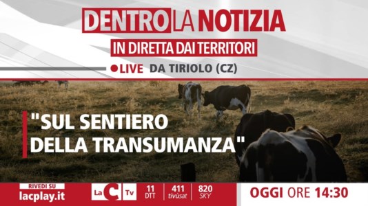 Nuova puntataSul sentiero della transumanza, a Tiriolo rivive la tradizione: focus oggi a Dentro la Notizia