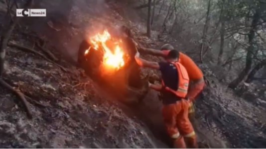 EmergenzaIncendio in Aspromonte: 15 ettari di bosco andati in fumo a San Luca