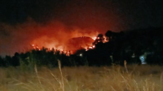 Lotta ai roghiEmergenza incendi, squadre di vigili del fuoco da altre regioni per soccorrere la Calabria in fiamme