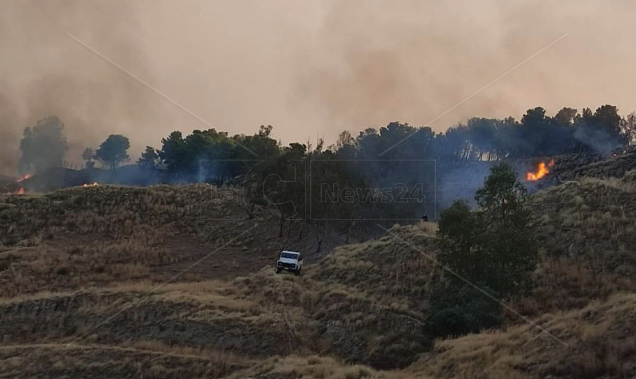 La Calabria bruciaReggino devastato dagli incedi, decine di ettari di bosco divorati dalle fiamme. Incontro in Prefettura per coordinare gli interventi