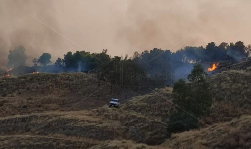 Un territorio devastatoIncendi, per Reggio Calabria il peggiore bilancio di sempre: 74 roghi e 9.000 ettari in fumo durante l’estate
