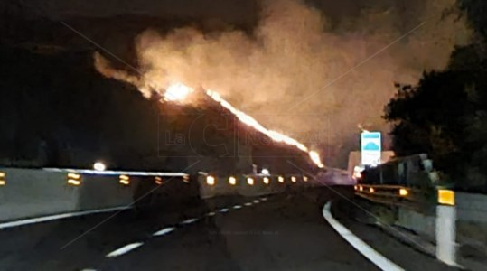 Accuse di fuocoIncendi, il Pd contro Occhiuto: &laquo;La regione brucia assieme ai suoi slogan mentre si svilisce Calabria Verde&raquo;