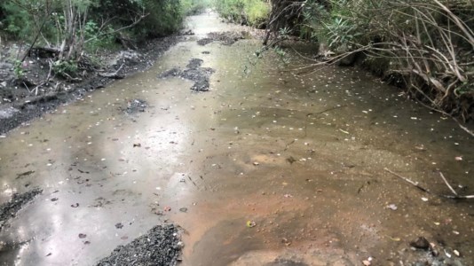 Disastro ambientaleScala Coeli, un mese dopo lo sversamento di percolato nel torrente galleggiano ancora chiazze (e dubbi)