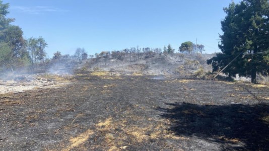 È emergenzaIncendio sulle colline di Corigliano divora migliaia di ettari di vegetazione