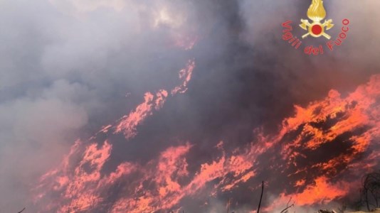 In fiammeLa Calabria brucia, da Cosenza a Reggio sono decine di incendi in tutta la regione