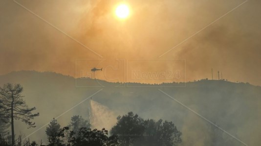 Inferno di fuocoIncendi Calabria, regione avvolta dalle fiamme: da Cosenza a Reggio ora è emergenza