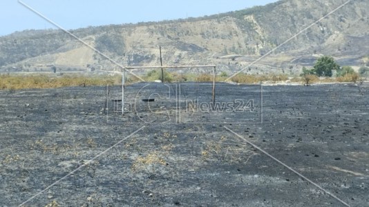 Incendi CalabriaLe colline nere e l’odore di terra bruciata: cronache dall’inferno di fuoco che ha ferito ancora l’Aspromonte