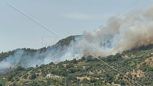 Brucia la CalabriaGrosso incendio alle porte della città di Acri nei pressi della galleria della statale 660