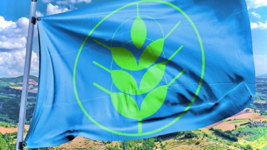 Il riconoscimentoSpighe verdi 2023, otto comuni calabresi conquistano la “bandiera blu dei borghi sostenibili”: ecco quali