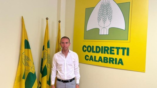 L’incaricoColdiretti, Vincenzo Abbruzzese nominato presidente regionale di Terranostra Calabria