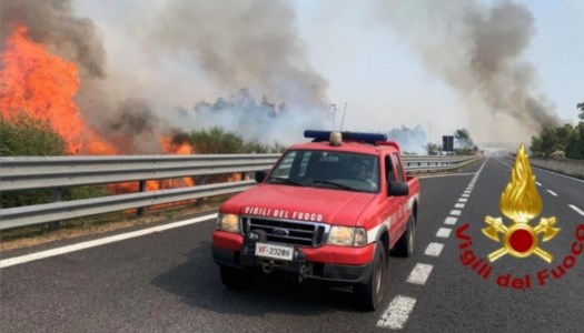 Una terra in fiammeLa Sicilia devastata dagli incendi, danni per oltre 60 milioni di euro. La Regione dichiara lo stato di crisi ed emergenza