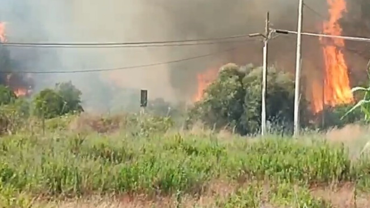 L’incendio nella pineta di Ugento (foto Ansa)
