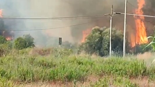 L’incendio nella pineta di Ugento (foto Ansa)