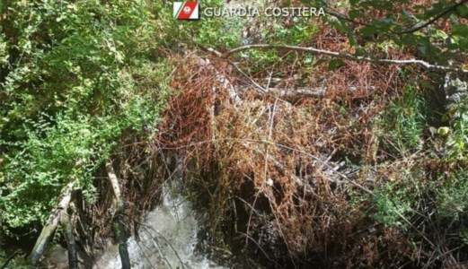 InquinamentoReflui fognari nel fiume, a Catanzaro scatta il sequestro di un pozzetto abusivo