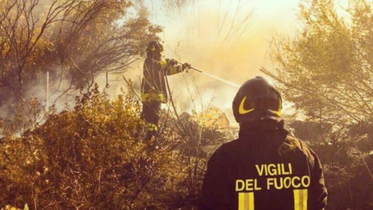 Il reportLotta agli incendi, a luglio in Calabria 2500 interventi dei vigili del fuoco