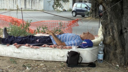 Dramma della povertàCorigliano-Rossano, Emil è malato e vive sotto un albero: i servizi sociali gli trovano un tetto, ma è solo per pochi giorni