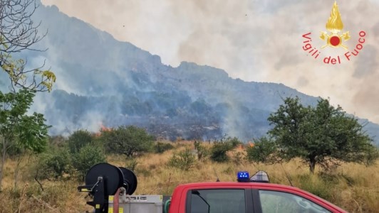 Danni devastantiDomato l’incendio sul Pollino, distrutti centinaia di ettari di bosco tra Civita e Frascineto