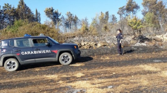 I controlli del territorioTenta di appiccare un incendio ma viene colto sul fatto dai carabinieri, 67enne arrestato nel Catanzarese