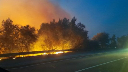 Il recente incendio che ha interessato la provincia di Vibo Valentia