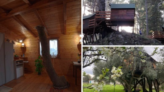 Le casette sull’albero in Calabria: un viaggio immersi nella natura per ritornare bambini