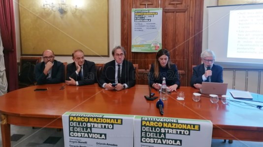 Battaglia politicaIl Parco dello Stretto per fermare il Ponte, Bonelli presenta a Reggio la proposta di legge in risposta al «faraone Salvini»