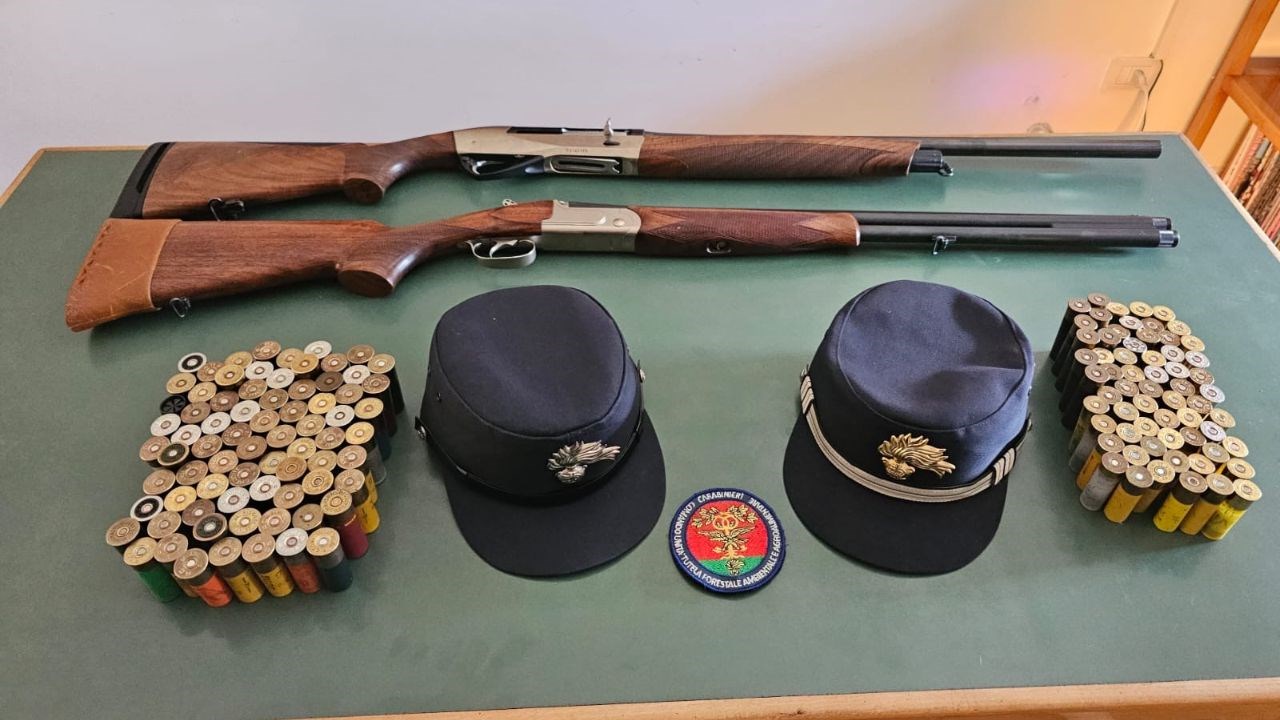 Fucili e munizioni sequestrati dai carabinieri