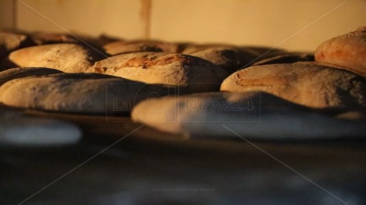 I nostri formatL’antico forno di Sant’Antonio, il profumo del pane e delle tradizioni a LaC Storie