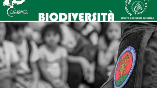 Giornata specialeLamezia Terme, la Befana della Biodiversità arriva nel reparto di pediatria del Giovanni Paolo II