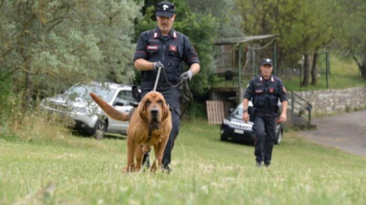 Le indaginiIl “serial killer della Riviera dei Cedri” incastrato da una catenina: è accusato di tentato omicidio a Bologna