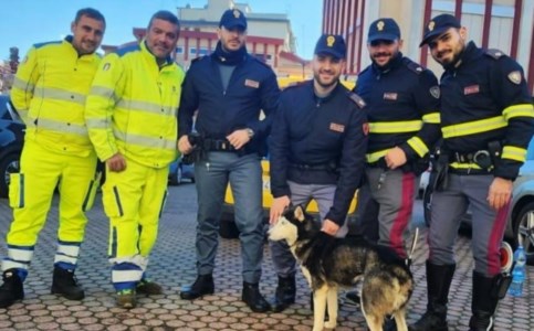 L’interventoVagava spaesato lungo la statale “Jonio-Tirreno”: cane soccorso e recuperato da Anas e polizia stradale