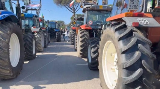 La mobilitazioneProsegue la protesta di agricoltori e allevatori a Rosarno: volantini agli automobilisti per chiedere sostegno