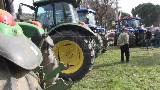La mobilitazioneCon più di 200 trattori dalla Sila a Cosenza, agricoltori protestano e regalano sacchetti di patate agli automobilisti