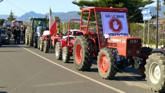 Trattori in stradaLa protesta degli agricoltori si accende anche nella Locride: «Valorizzare il made in Italy, non prodotti pieni di pesticidi»