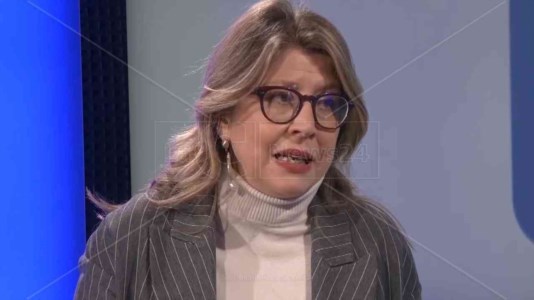 L’intervistaFallimento Amaco a Cosenza, Bianca Rende: «Tenere alta l’attenzione e tutelare tutti i lavoratori»