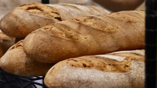 Mangiare sanoIl “pane della salute” è calabrese: arriva anche in farmacia l’antica ricetta di Mulinum
