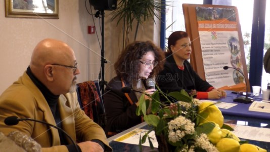 La moderatrice del convegno, Fabrizia Arcuri, tra Sabrina Mannarino e Riccardo Virgili