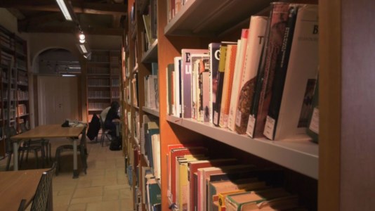 Il casoSistema bibliotecario vibonese, 15 giorni per salvare 90mila libri: «La politica faccia qualcosa per la biblioteca più grande della Calabria»