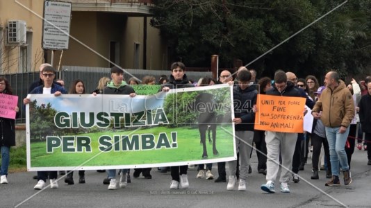 La manifestazioneFuscaldo dice no alla violenza sugli animali: dopo l’uccisione del cane Simba il paese scende in strada