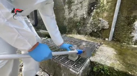 Ambiente a rischio«Arrivano i carabinieri per controllare i rifiuti»: le soffiate dall’Arpacal per aiutare l’Eco Call dei Guarascio