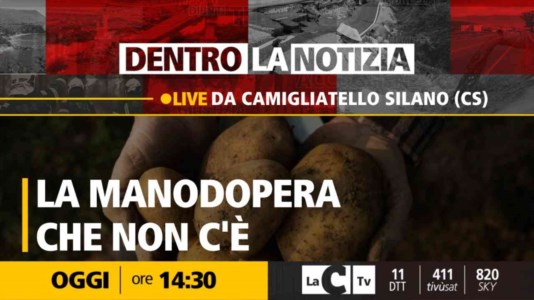 LaC TvIl decreto flussi non basta, la Calabria a secco di manodopera: il punto a Dentro la Notizia 