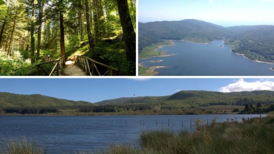 Posti da visitareIl lago Lacina, tra le province di Vibo e Catanzaro un bacino artificiale immerso nel verde delle Serre calabresi