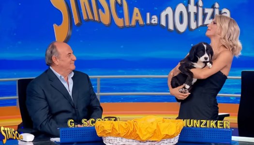 La presentazioneDalla Calabria a Striscia la notizia, la nuova mascotte è una cucciola proveniente da Taurianova