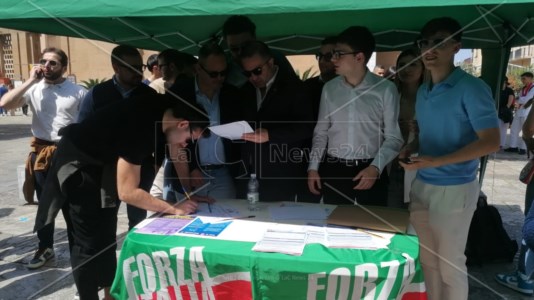 Campagna adesioniAnche in Calabria Fi apre i gazebo per il tesseramento, Cannizzaro: «Alle Europee puntiamo al 10%, saremo la casa dei moderati»