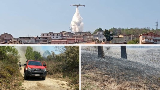 L’emergenzaPrimo caldo, primi incendi in Calabria: roghi nel Catanzarese, vigili del fuoco in azione