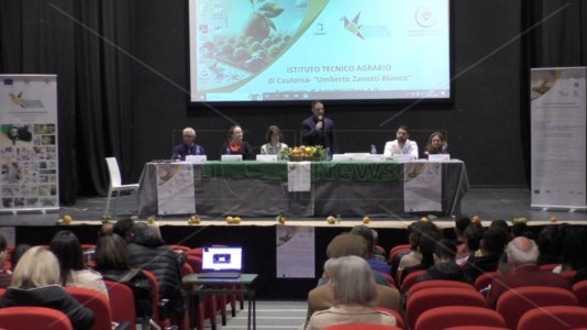 L’iniziativa“Innovazione e sostenibilità per il futuro delle produzioni agrumicole”: a Caulonia studenti e tecnici a confronto
