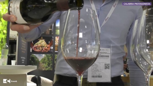 EnoturismoBaroni Capoano, il sogno realizzato di Massimiliano: coltivare uve di pregio e trasformarle in ottimo vino