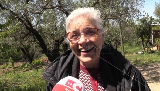 Storia specialeA Tiriolo l’energia contagiosa di zia Amalia: a 85 anni gestisce un’azienda agricola e produce un olio che è presidio Slow food