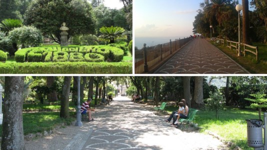 Bellezze da scoprireDue tra i più bei parchi pubblici della Calabria: ecco le ville comunali di Palmi e Cittanova